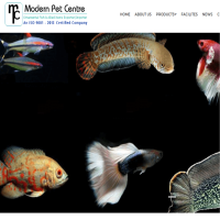 Best Ornamental Fish Exporters in India