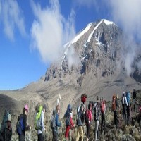 For Mount Kilimanjaro Climbing Tours Call Us